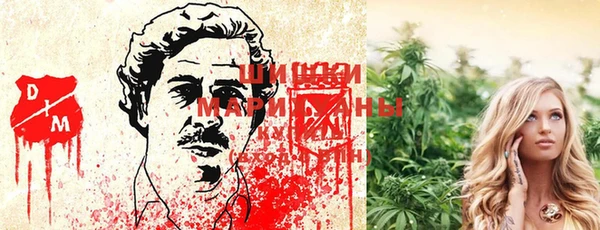 хмурый Алзамай