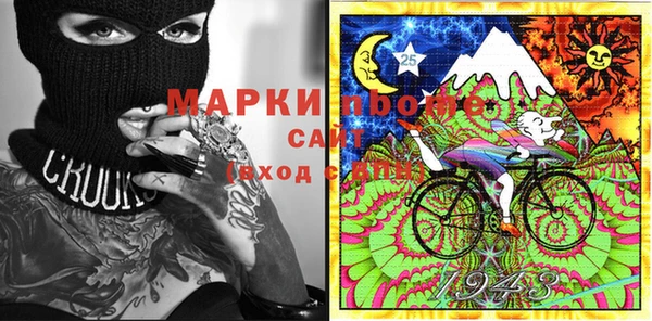 хмурый Алзамай
