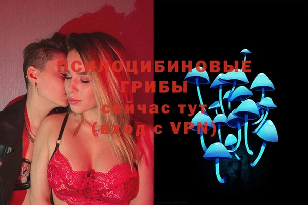 прущие грибы Алексеевка