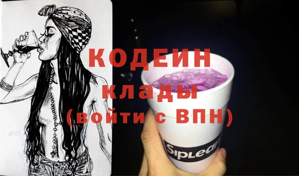 хмурый Алзамай