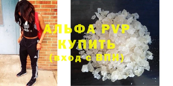 крисы Абдулино